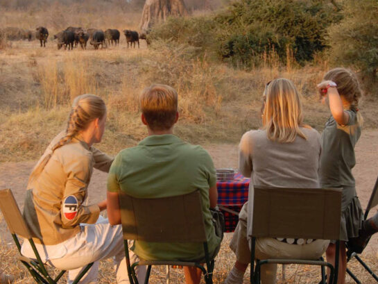 Family Adventure Safaris Making Memories in Tanzania