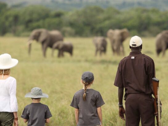Kenya Family Safaris Creating Memorable Experiences for all Ages