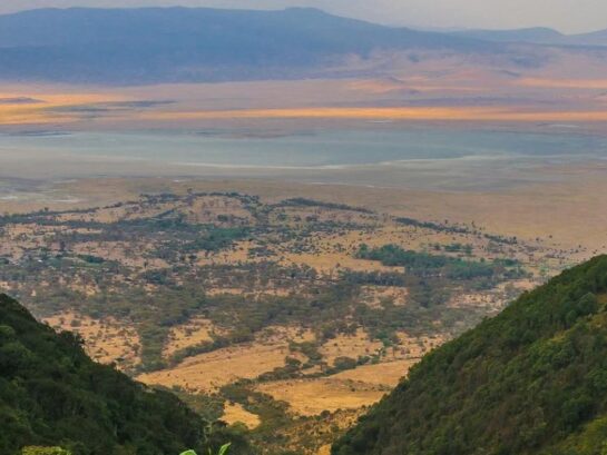 Journeying into the Ngorongoro Crater: Tanzania’s Natural Marvel , If your are planning an African safari to Tanzania