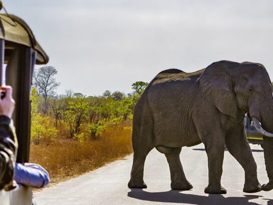 Safety Tips for Safari Travelers in Tanzania