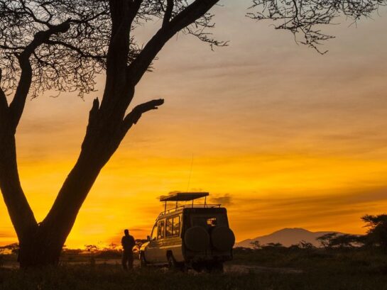 Sustainable Tourism in Tanzania: How Safaris Support Conservation Efforts