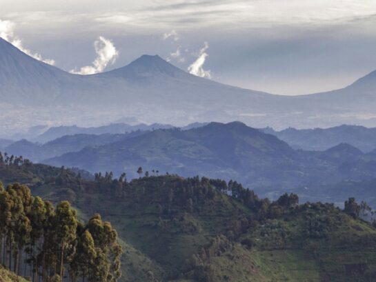 Visit Rwanda- Top Tours in Rwanda