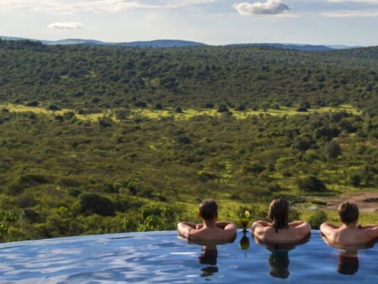 What you need to know before travelling to Uganda for your Safari