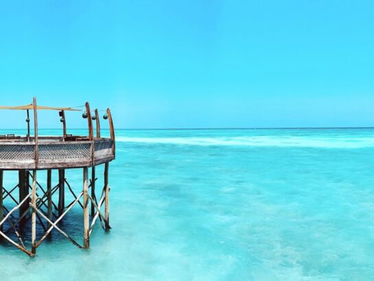 Zanzibar safaris